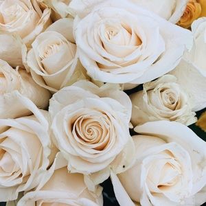 Meet your Posher, Jade